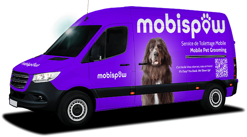 The Mobispaw grooming van